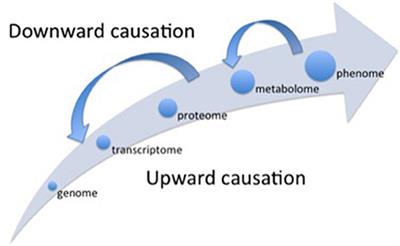 The Challenge to Translate OMICS Data to Whole Plant Physiology: The Context Matters